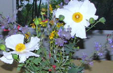 An arrangement of cut California native plants